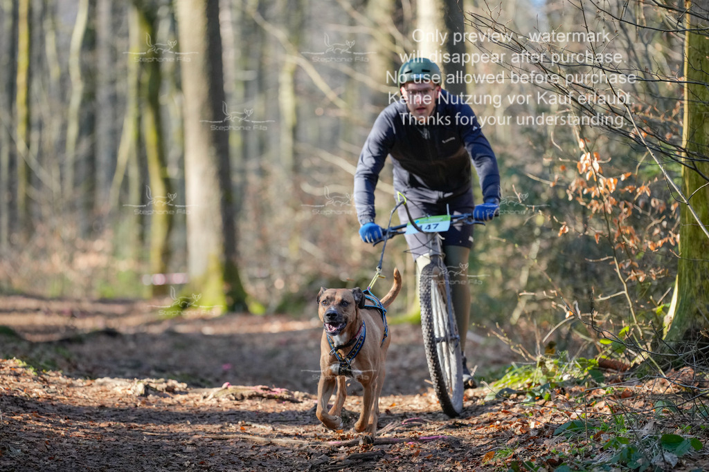 Scooter_So_So-36 | stephaniefillaphotographie - Realisiert mit Pictrs.com