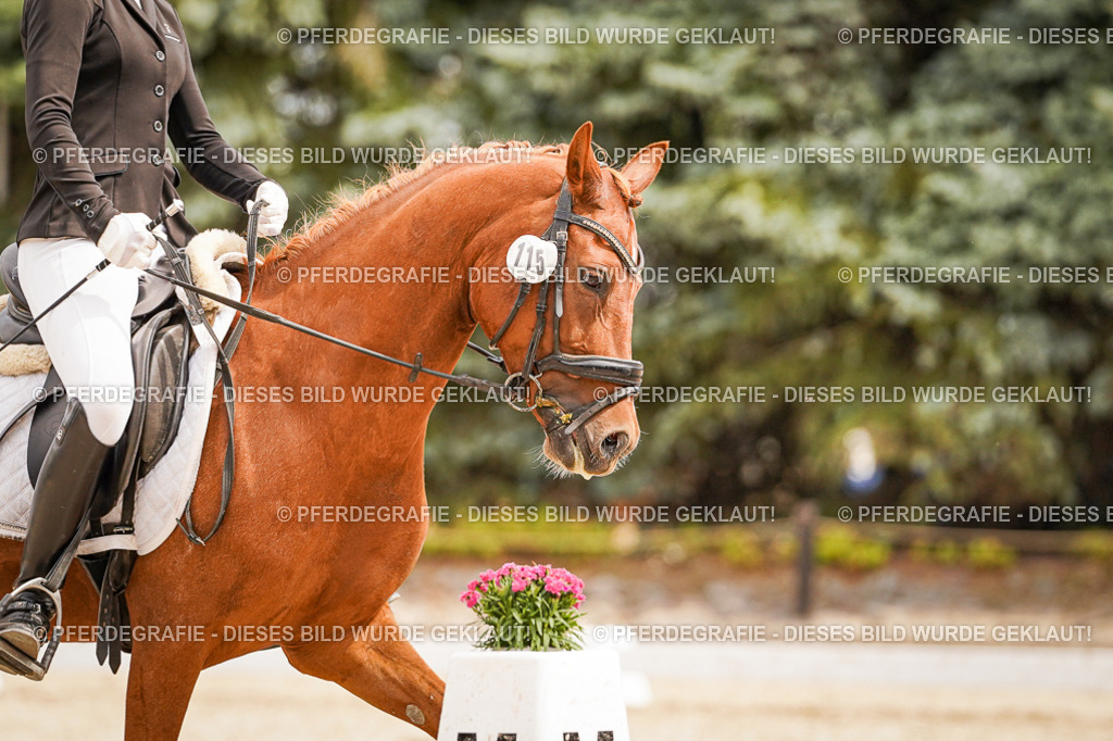 DSC02055 | Pferdegrafie