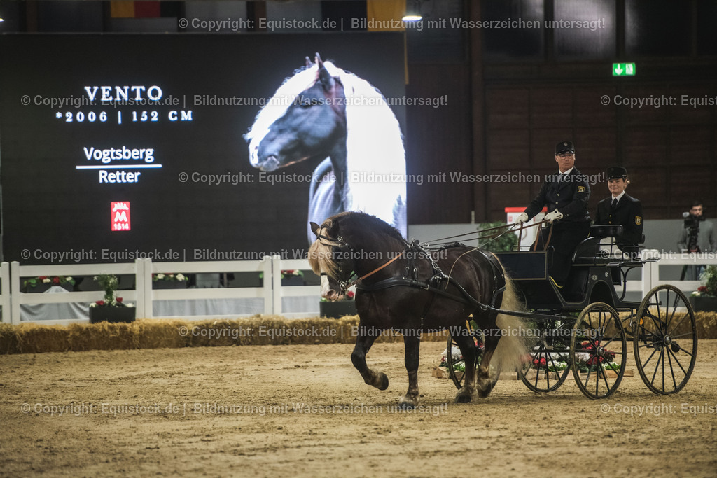 20240302_Hengstvorstellung_Marbach_TOMsPiC_0601 | equistock
