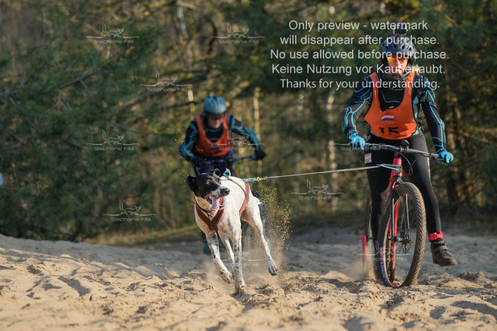 So_Scooter-83 | stephaniefillaphotographie - Realisiert mit Pictrs.com