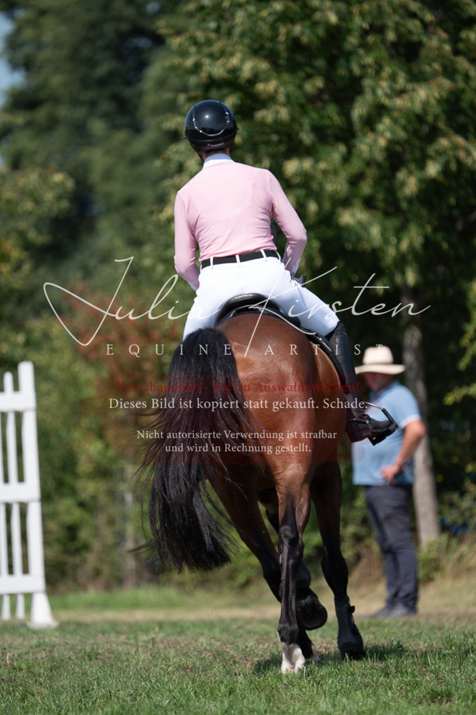 DSC_0584 | Pferde- und Turnierfotografie in Westsachsen. Pferdeportraits, Auftragszeichnungen und intuitive Kunst.