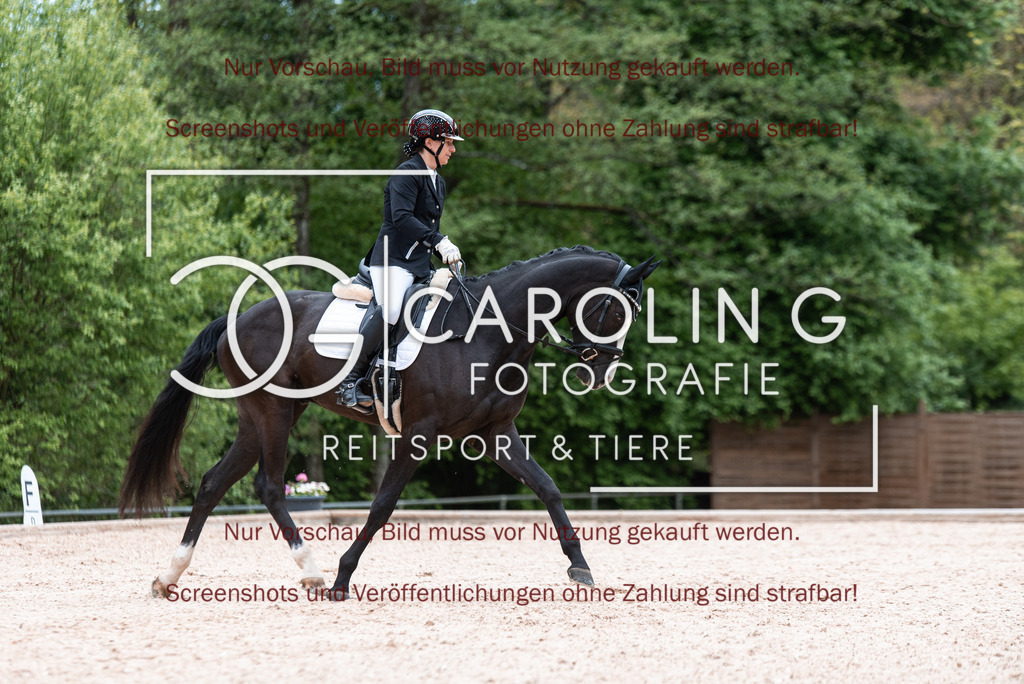 DSC_6751 | Turnierfotografin Carolin Gieschke,Reitsport Turnierfotografie Carolin G Fotografie | Turnierfotos aus Kirchheim/Teck, Esslingen, Stuttgart und dem Bodenseekreis
