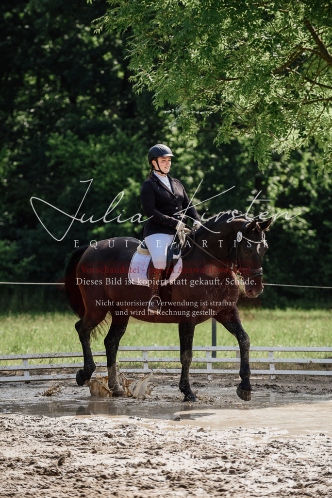 DSC_0156 | Pferde- und Turnierfotografie in Westsachsen. Pferdeportraits, Auftragszeichnungen und intuitive Kunst.