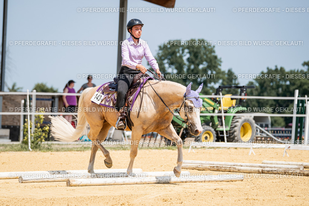 DSC01184 | Pferdegrafie