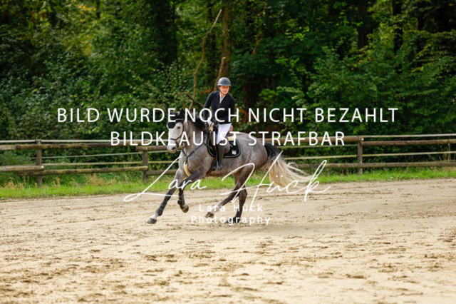 _62_9122 | larahueckfotografie