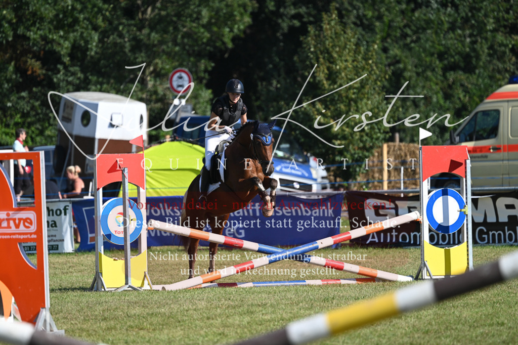 DSC_5342 | Pferde- und Turnierfotografie in Westsachsen. Pferdeportraits, Auftragszeichnungen und intuitive Kunst.