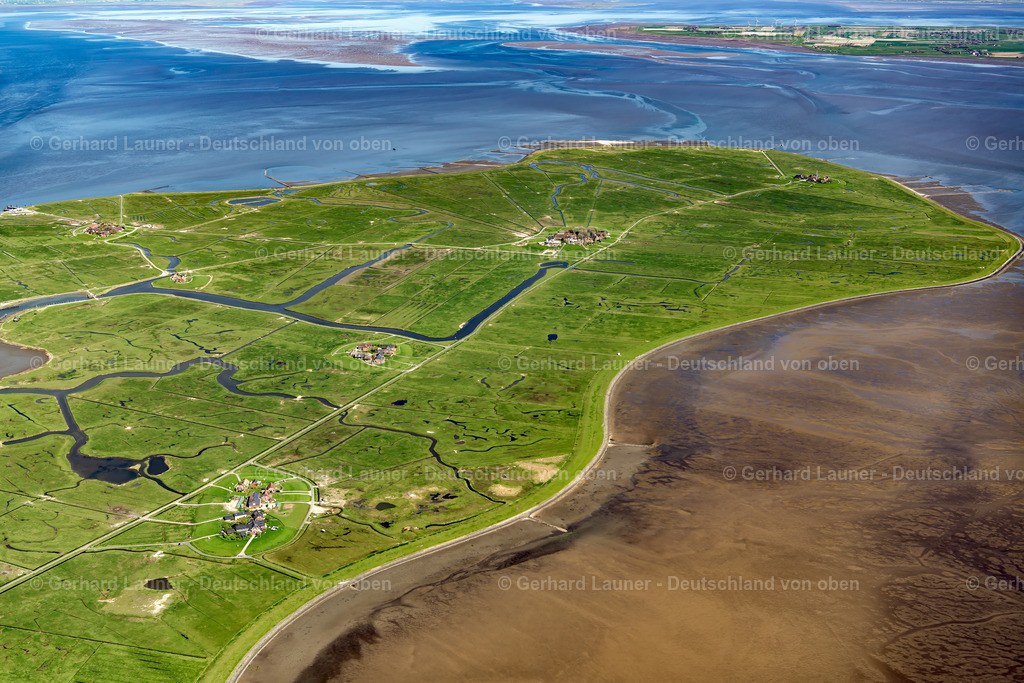 3801909 | Hallig Hooge, Nationalpark Schleswig-Holsteinisches Wattenmeer