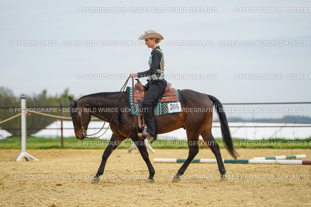 DSC03214 | Pferdegrafie