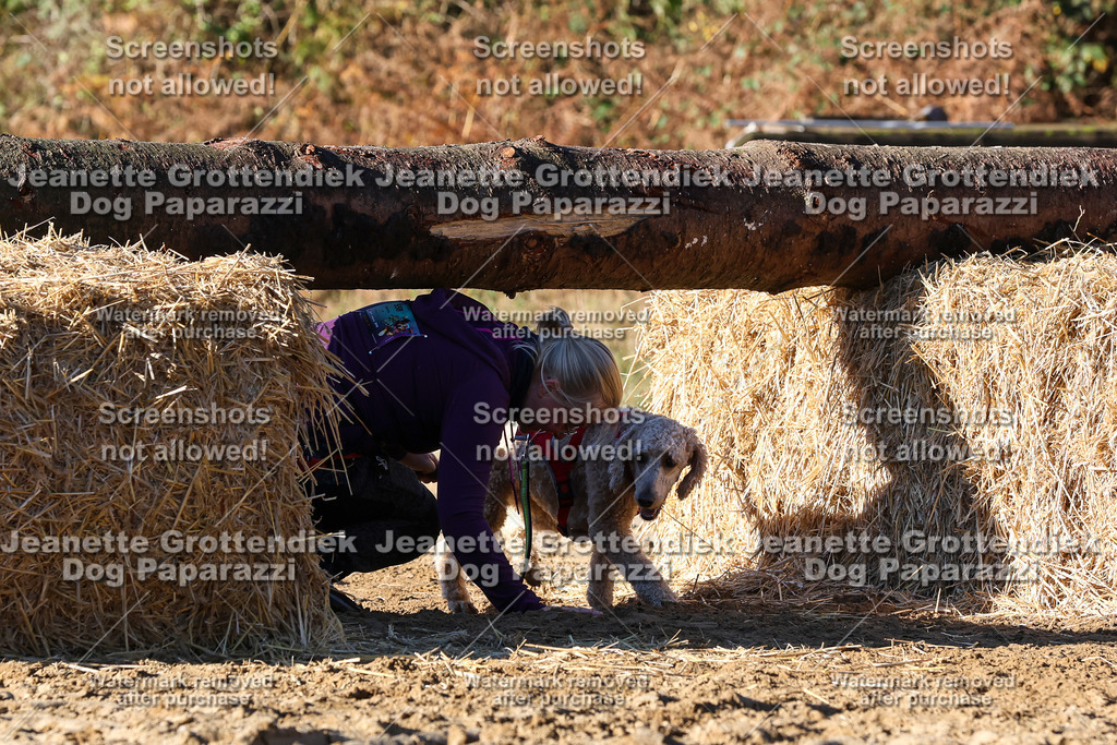 Dog Paparazzi - Strongdog 10-25-1700 | Dog Paparazzi Jeanette Grottendiek Fotografie & Videografie - Realisiert mit Pictrs.com