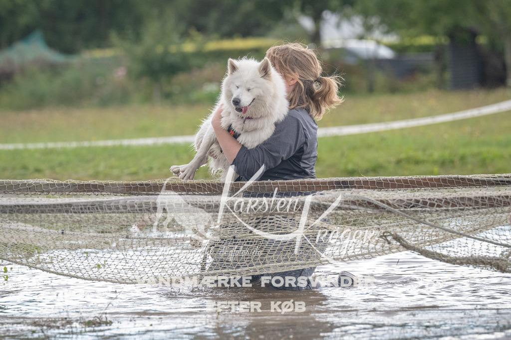 1433_ZZ90219 | kk-dogfotos