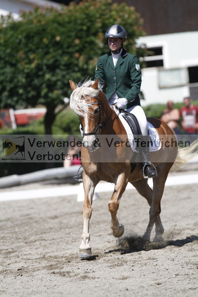 _MG_4157 | equestrian-live-com