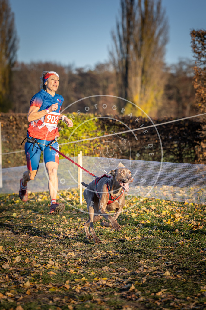CaniXpix_DV3A4637 | Hundefotografie, Tierfotograf, Pfotenfotografie, Fotoshooting Hund, Hunde Portrait, Hundesport, Hundeportraits, Heideshooting, Hunde, Sportfotograf, Hundefotograf, Turnierhundsport, THS,  - Realisiert mit Pictrs.com