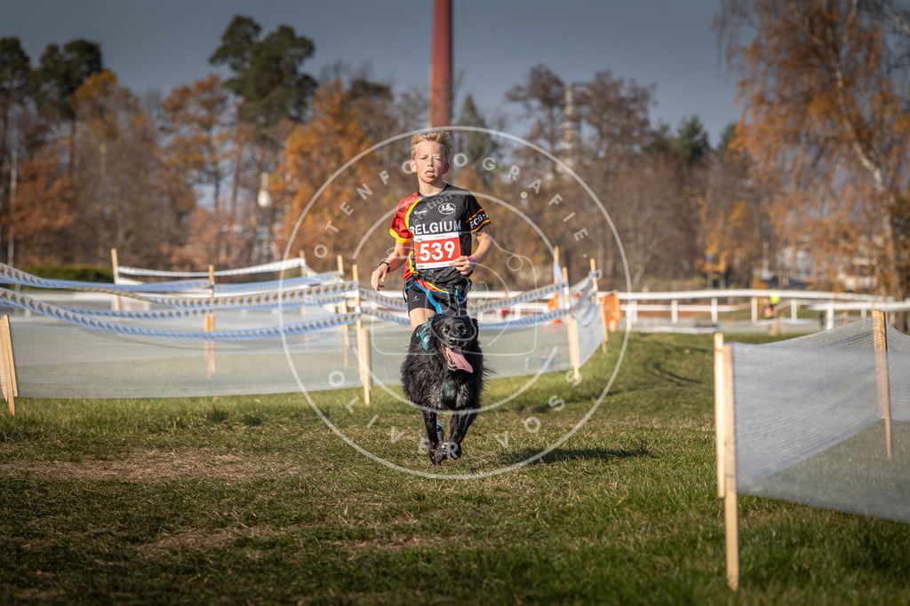 CaniXpix_0L8A8902 | Hundefotografie, Tierfotograf, Pfotenfotografie, Fotoshooting Hund, Hunde Portrait, Hundesport, Hundeportraits, Heideshooting, Hunde, Sportfotograf, Hundefotograf, Turnierhundsport, THS,  - Realisiert mit Pictrs.com