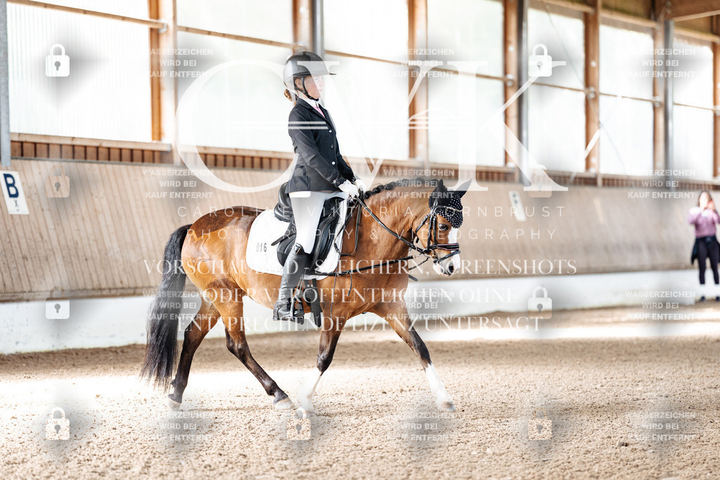 CK908810 | Turnierfotografie Pferdefotografie Trier Rheinland-Pfalz Pferdesport Reitsport Tierfotografie Sportfotografie Pferdevideo Pferdevideografie Equestrianvideography equestrianphotography  - Realisiert mit Pictrs.com