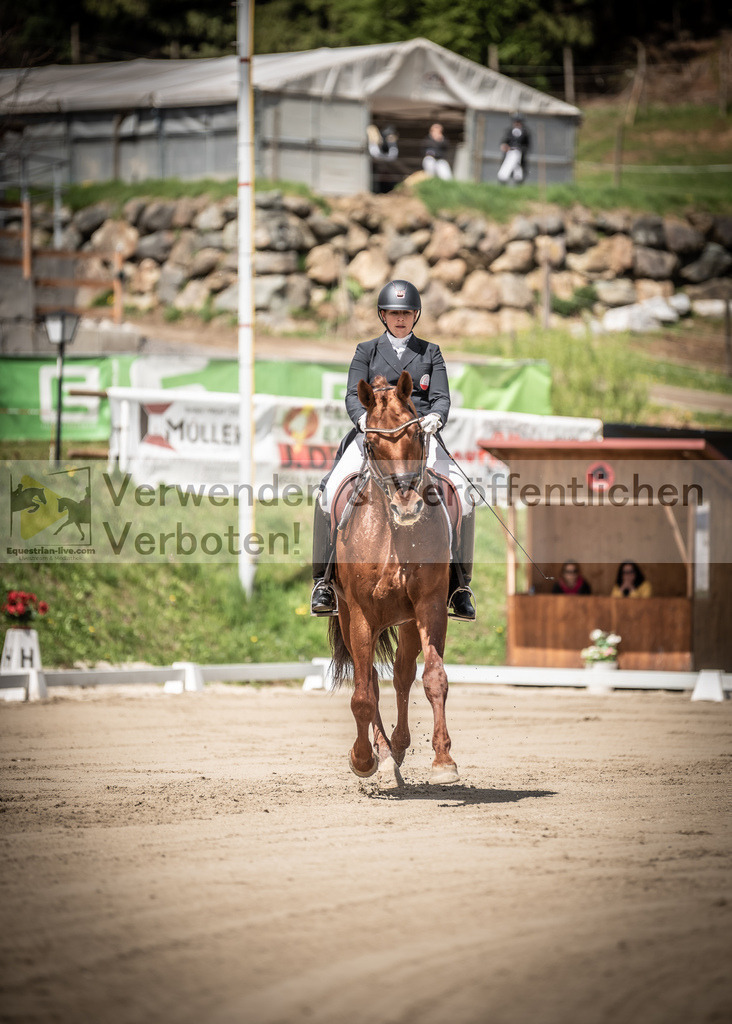 DSC_1453 | equestrian-live-com