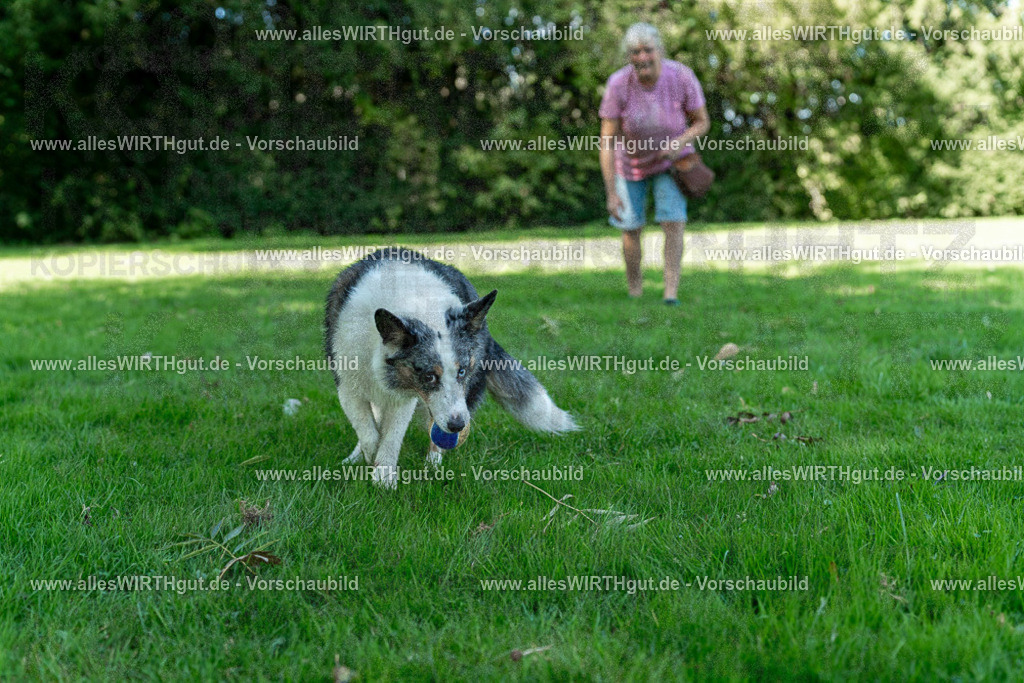 Hundeschwimmen_Volksbad_2026-allesWIRTHgut_Tierfotografie-2609061321-7R500673 | Professionelle Tierfotografie in Mönchengladbach von Daniel Wirth (allesWIRTHgut). Liebevolle & natürliche Bilder von Hunden & Katzen für unvergessliche Erinnerungen.