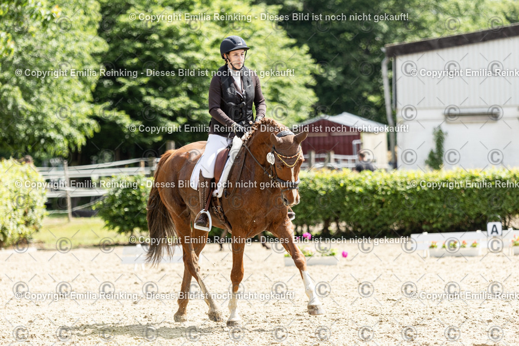 CL5A7976 | Emilia Reinking Fotografie - Realisiert mit Pictrs.com