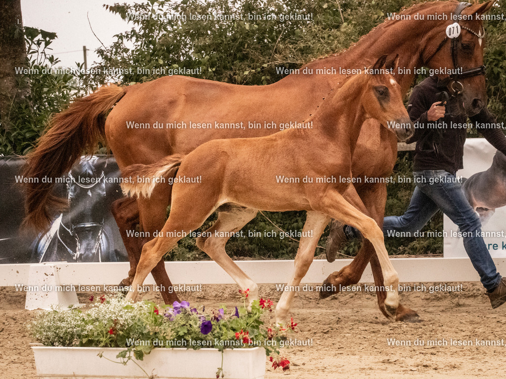 A10I1255 | photographylinaismer - Realisiert mit Pictrs.com