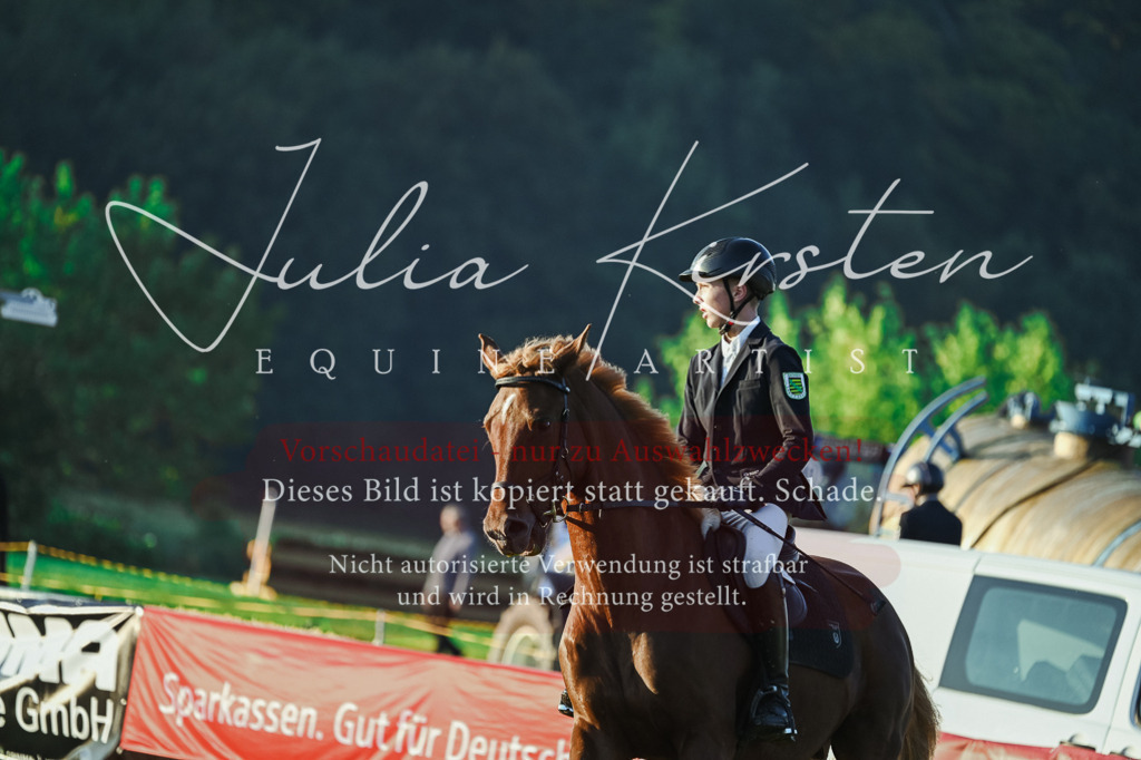 DSC_3743 | Pferde- und Turnierfotografie in Westsachsen. Pferdeportraits, Auftragszeichnungen und intuitive Kunst.