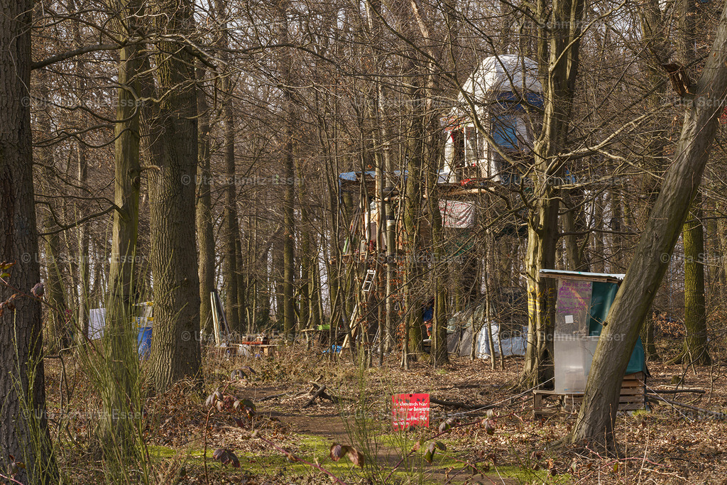 Hambacher-Forst_17 | CEUS Design - Realisiert mit Pictrs.com