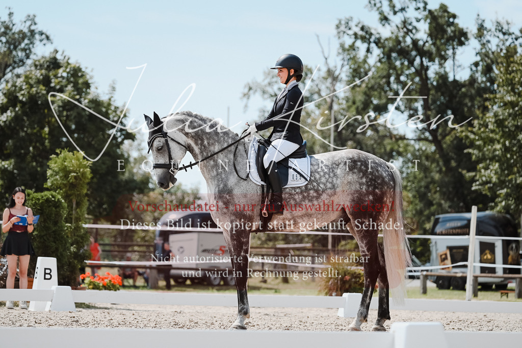 DSC_5575 | Pferde- und Turnierfotografie in Westsachsen. Pferdeportraits, Auftragszeichnungen und intuitive Kunst.