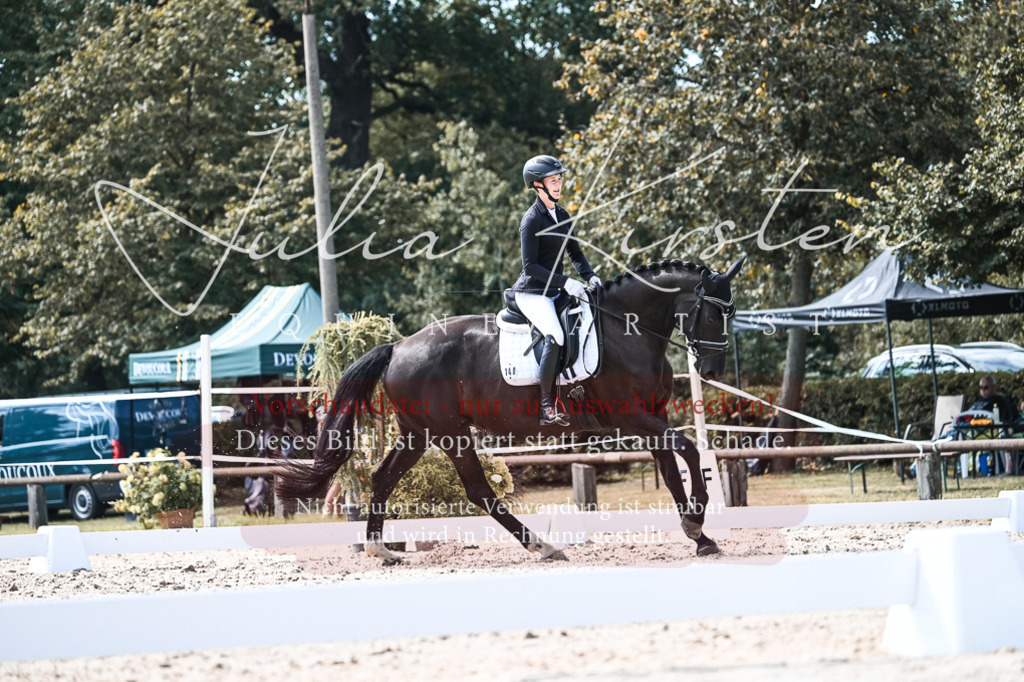 DSC_5337 | Pferde- und Turnierfotografie in Westsachsen. Pferdeportraits, Auftragszeichnungen und intuitive Kunst.