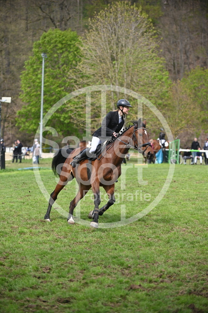 DSC_1750 | sattelsport - Realisiert mit Pictrs.com