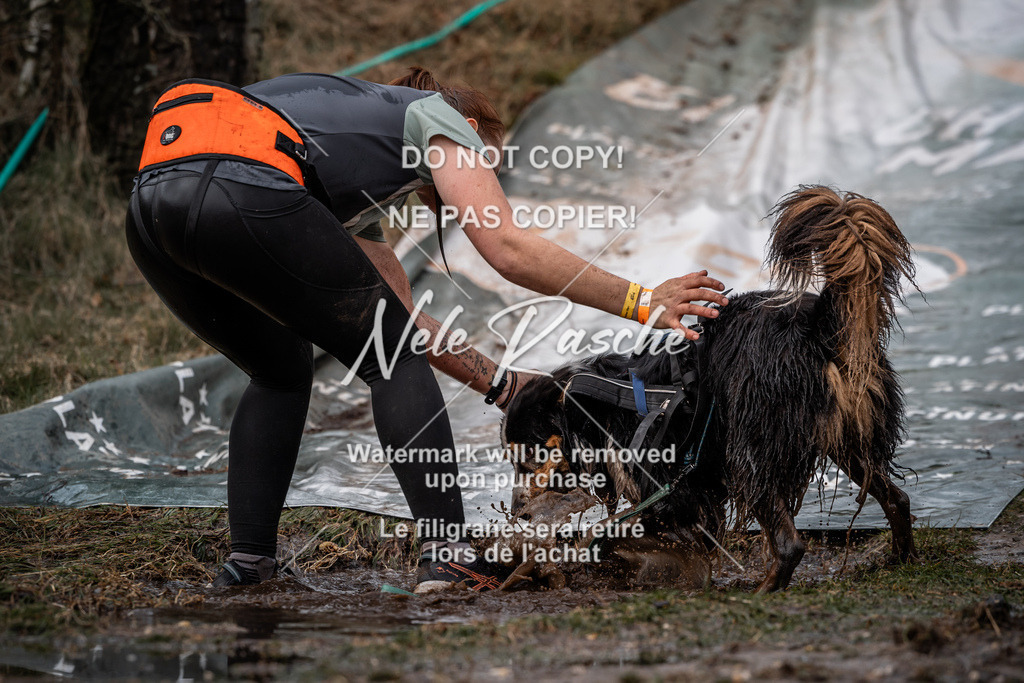 nelerasche_1330-1400_258 | nelerasche