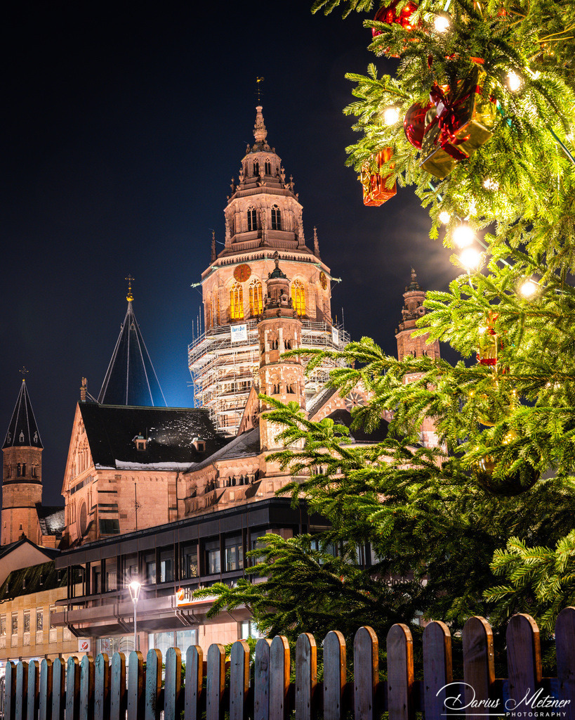 Der Mainzer Dom mit dem Weihnachtsbaum vor dem Staatstheater | Der Mainzer Dom mit dem Weihnachtsbaum vor dem Staatstheater in Mainz