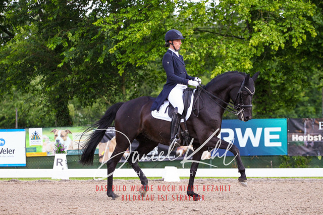DKP41668 | Deine Turnierfotos vom Reitturnier online kaufen: Dressur, Springen & Siegerehrung. Professionelle Pferdefotografie aus dem Rheinland – als Download & Print.Alternative: Turnierfotograf für den Pferdesport: Finde deine Fotos von Dressur- und Springturnier