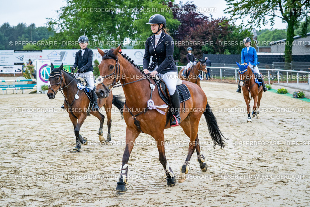 DSC01528 | Pferdegrafie