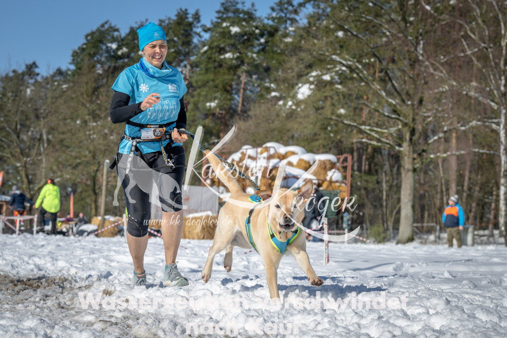 1108_ZZ90218-2 | kk-dogfotos