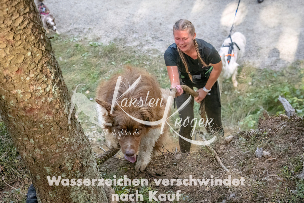 1052_ZZ93178 | kk-dogfotos