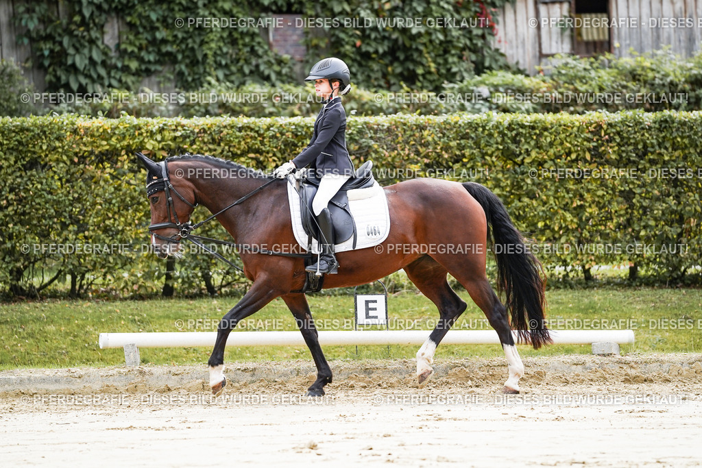 DSC05124 | Pferdegrafie