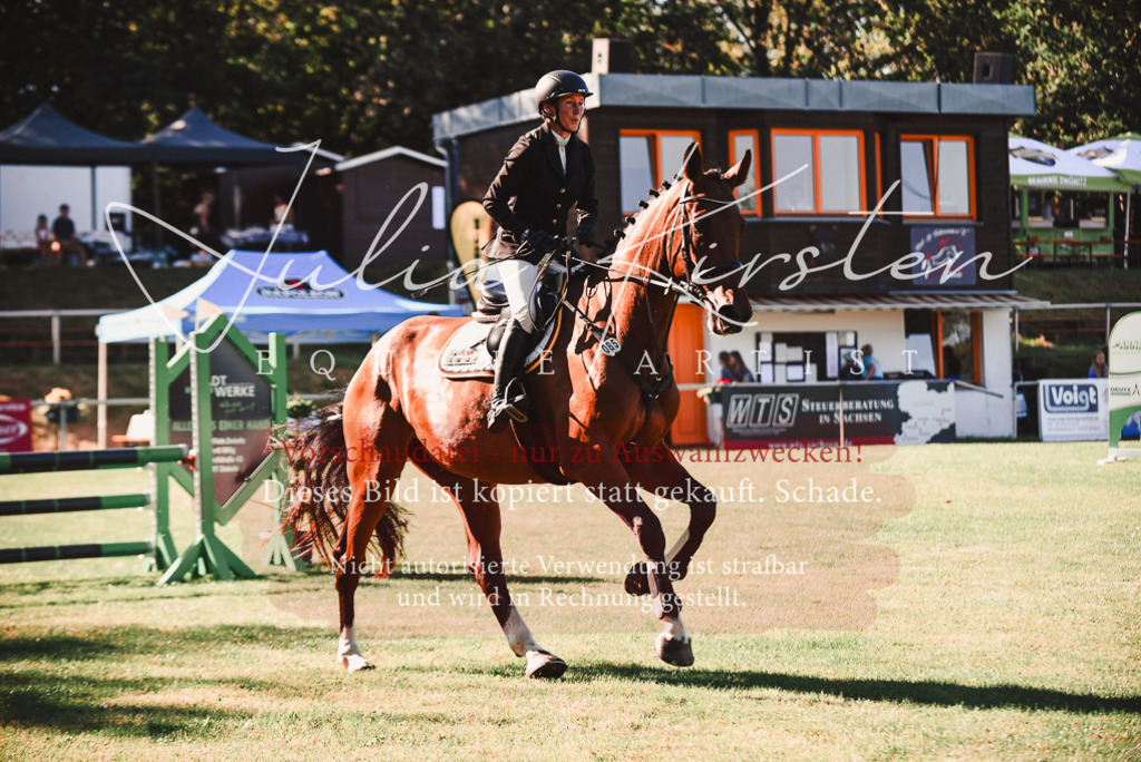 DSC_2245 | Pferde- und Turnierfotografie in Westsachsen. Pferdeportraits, Auftragszeichnungen und intuitive Kunst.