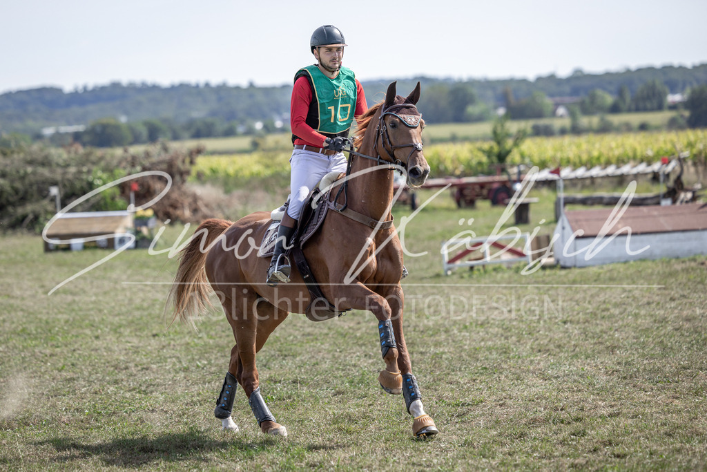 20250907-_3LI1229 | Tierfotografie Pferde, Hunde, Katzen, Haustiere.
Turnierfotografie Reitturniere, Reiten, Springreiten, Dressur in Hanau, dem Main-Kinzig-Kreis und dem Rhein-Main- Gebiet um Frankfurt