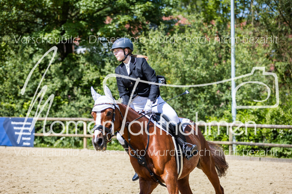 Donop24-SprRW-033 | MomenTaufnahmen Pferdesportfotos