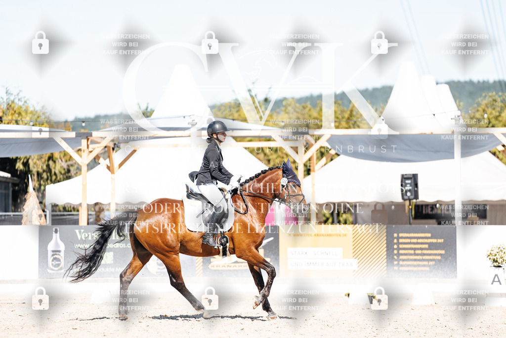 CK908743 | Turnierfotografie Pferdefotografie Trier Rheinland-Pfalz Pferdesport Reitsport Tierfotografie Sportfotografie Pferdevideo Pferdevideografie Equestrianvideography equestrianphotography  - Realisiert mit Pictrs.com