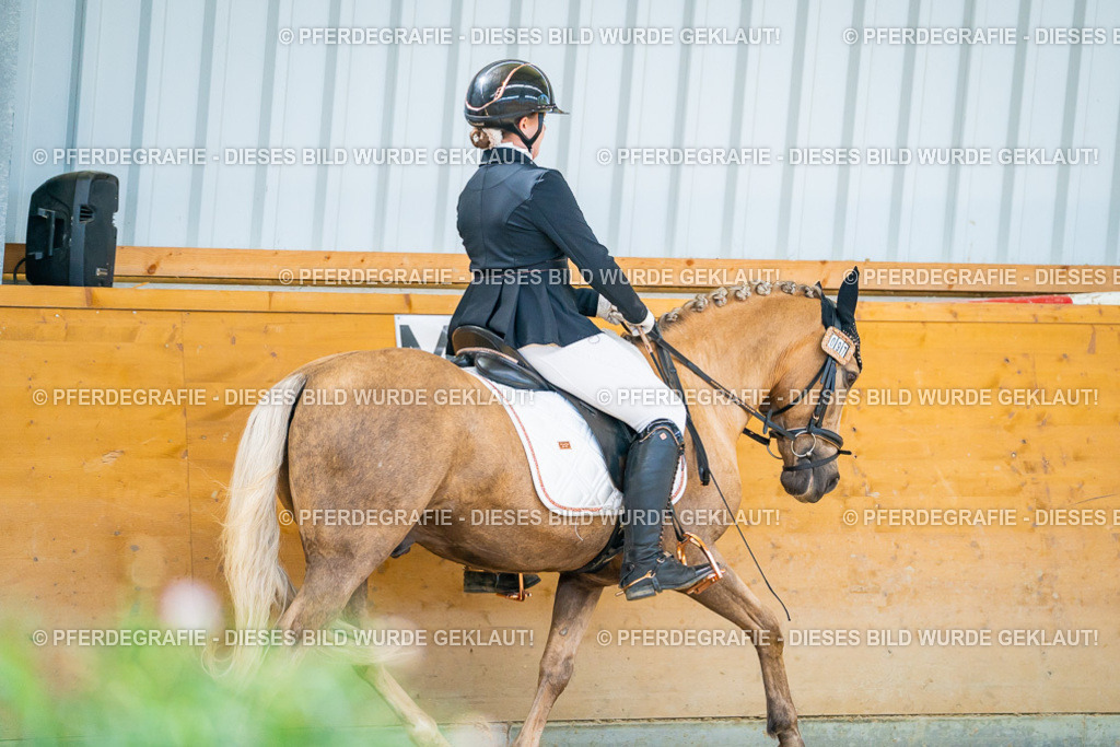 DSC07602 | Pferdegrafie