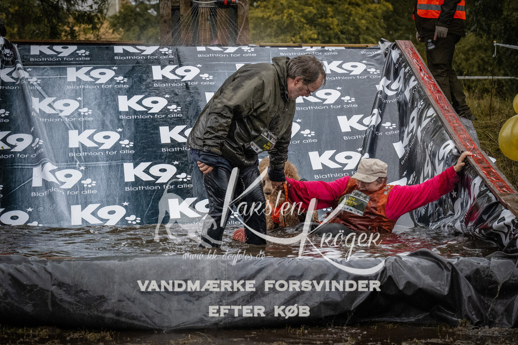 1136_ZZ93162 | kk-dogfotos