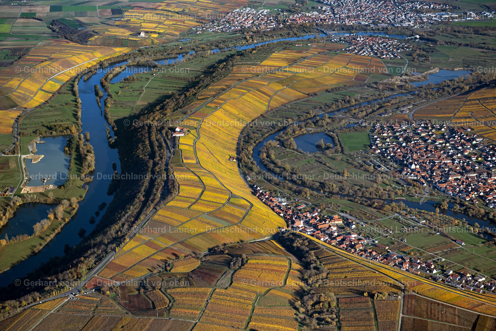 4042600 | Weinbergslandschaft an der Mainschleife bei Escherndorf und Nordheim