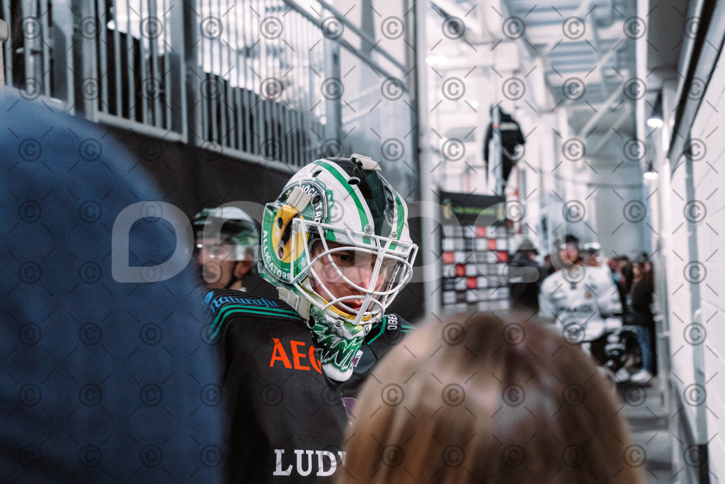 Alligators_vs_Passau_03_12_2025-55 | Höchstadt Alligators Fotogalerie: Eishockey-Action aus Franken. Professionelle Spielfotos, Portraits & Stadionbilder zum Download. Jetzt entdecken! - Realisiert mit Pictrs.com