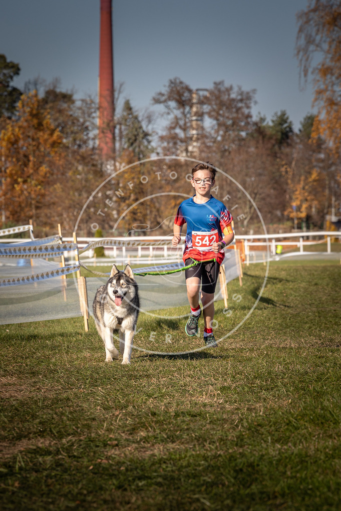 CaniXpix_0L8A7580 | Hundefotografie, Tierfotograf, Pfotenfotografie, Fotoshooting Hund, Hunde Portrait, Hundesport, Hundeportraits, Heideshooting, Hunde, Sportfotograf, Hundefotograf, Turnierhundsport, THS,  - Realisiert mit Pictrs.com