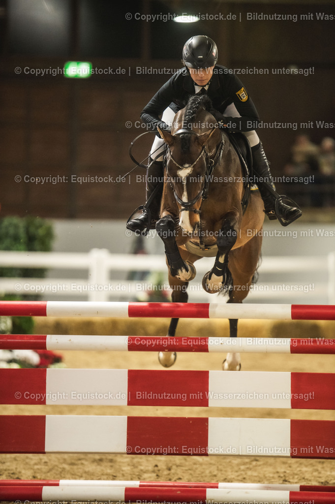20240302_Hengstvorstellung_Marbach_TOMsPiC_1376 | equistock