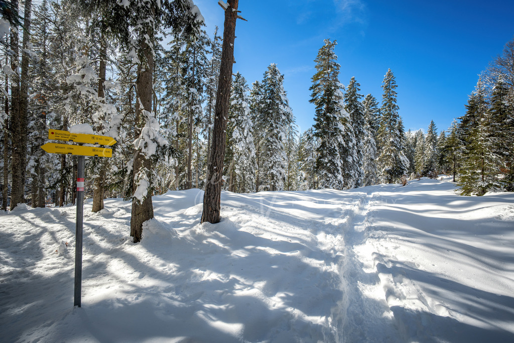Mösern | Hochplateau bei der Möserer Höhe
