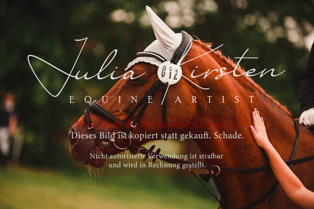 DSC_7025 | Pferde- und Turnierfotografie in Westsachsen. Pferdeportraits, Auftragszeichnungen und intuitive Kunst.