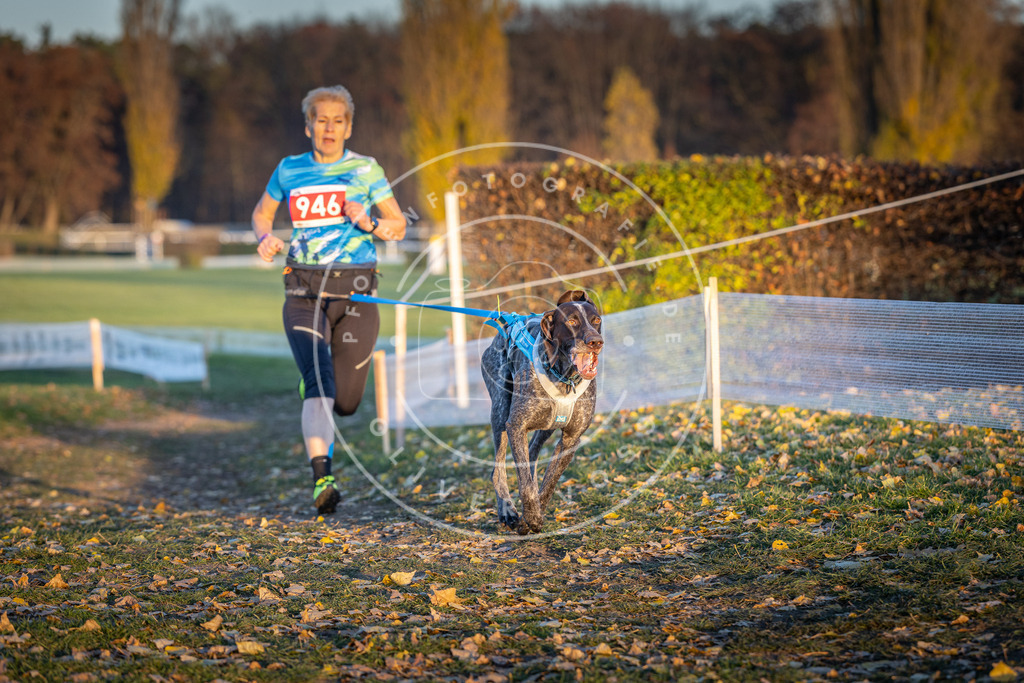 CaniXpix_DV3A5495 | Hundefotografie, Tierfotograf, Pfotenfotografie, Fotoshooting Hund, Hunde Portrait, Hundesport, Hundeportraits, Heideshooting, Hunde, Sportfotograf, Hundefotograf, Turnierhundsport, THS,  - Realisiert mit Pictrs.com