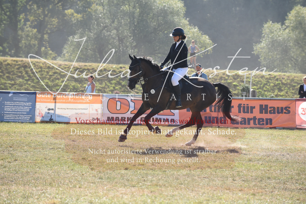 DSC_5929 | Pferde- und Turnierfotografie in Westsachsen. Pferdeportraits, Auftragszeichnungen und intuitive Kunst.