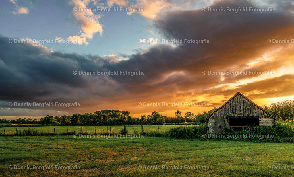 Sonnenuntergang Hopsten | Entdecken Sie Natur, Makro und Tierfotografie von Dennis Bergfeld.Besondere Momente und Details der Natur, hochwertig als Foto und Wandbild erhältlich. - Realisiert mit Pictrs.com