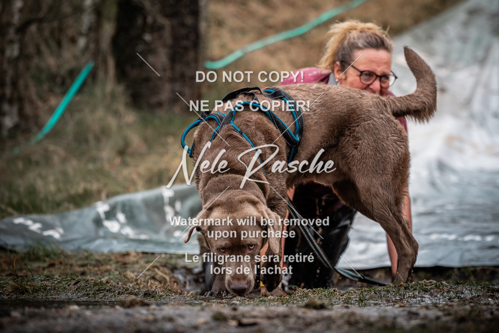 nelerasche_1230-1300_265 | nelerasche